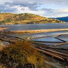 Holzwirtschaft im Okanagan Valley Kewlona