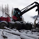 Holzwirtschaft in den Alpen