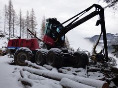 Holzwirtschaft in den Alpen