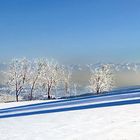  Homberg / Kt. AG / Schweiz 