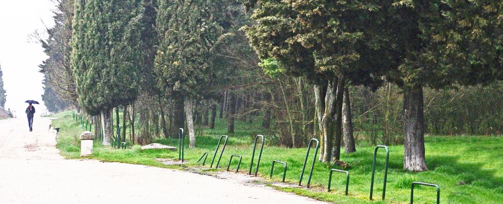 Hombre con paraguas y perros.