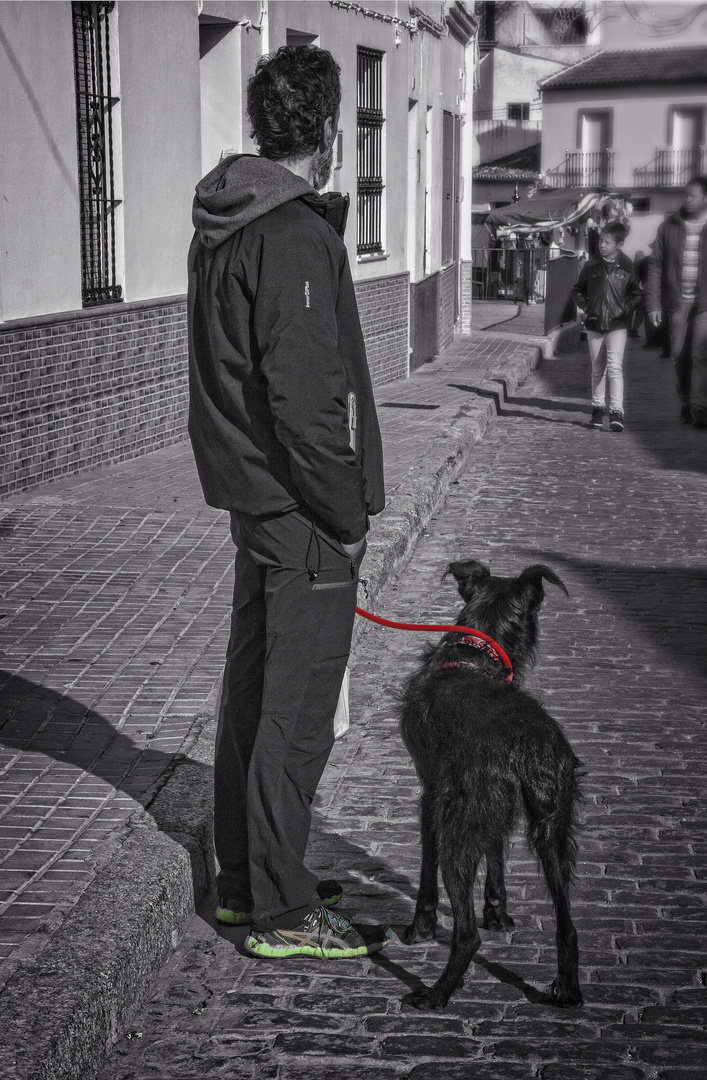 Hombre con perro