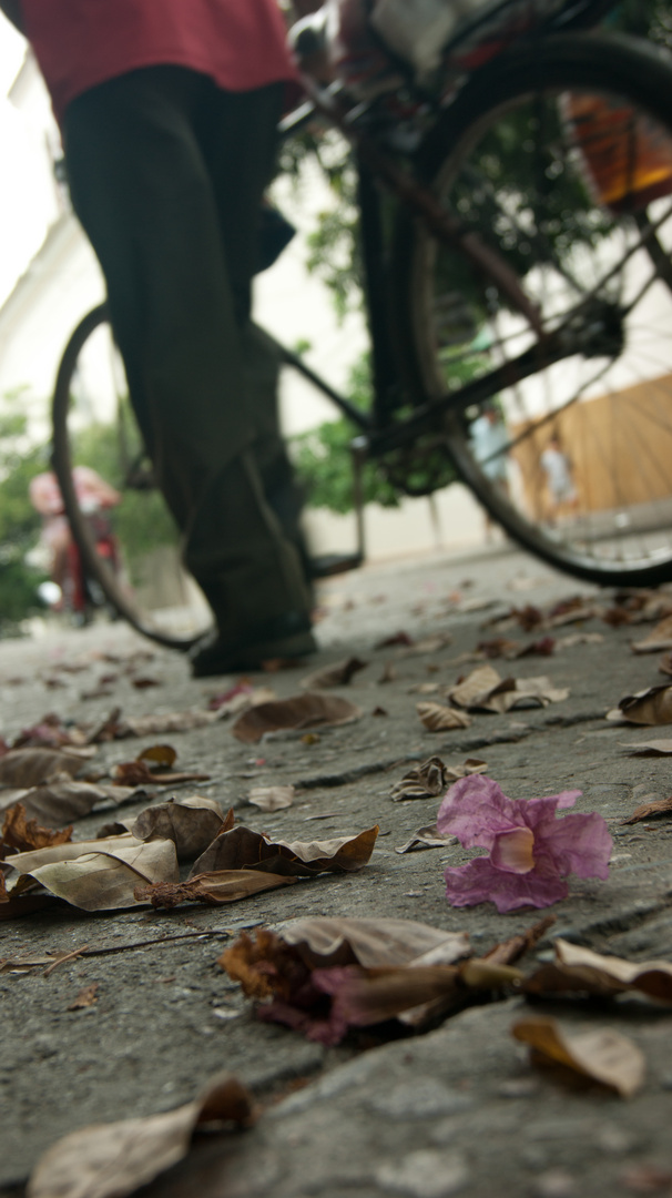 Hombre y Bicicleta