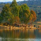 hombres pescando