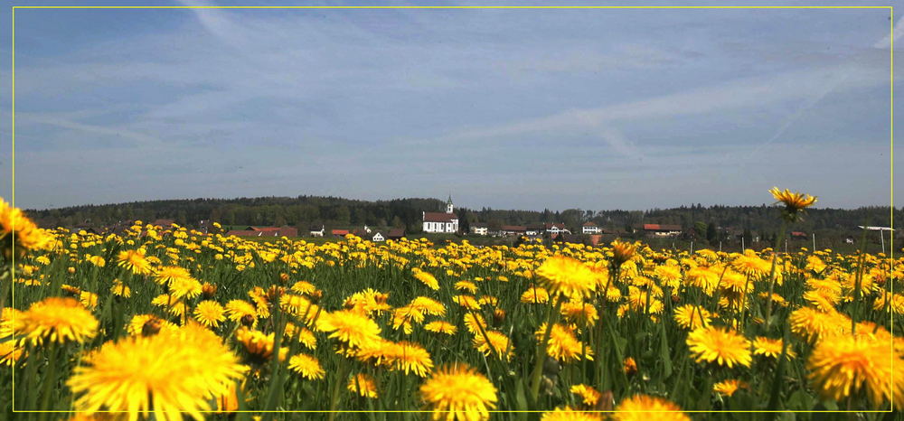 Homburg im Thurgau