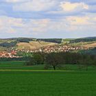 Homburg mit den Rebbergen