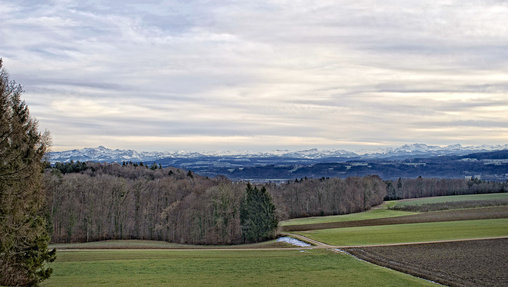 Homburger Aussicht