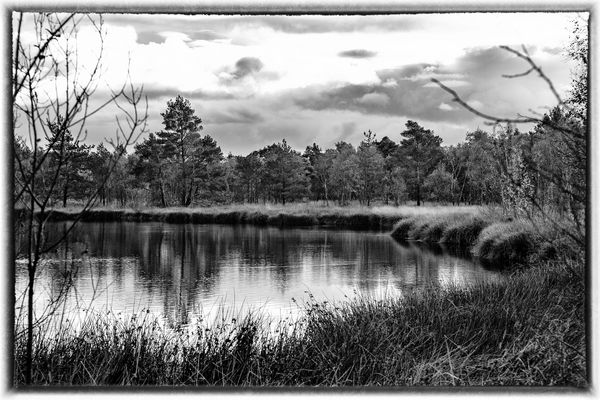 "Home" For A Lot Of Animals