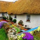 Home in Ireland