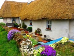 Home in Ireland