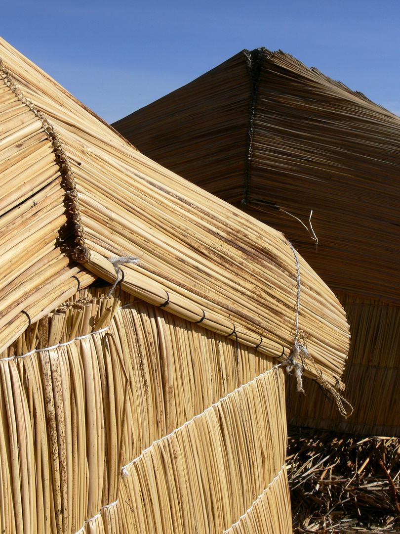 Home of the Uros