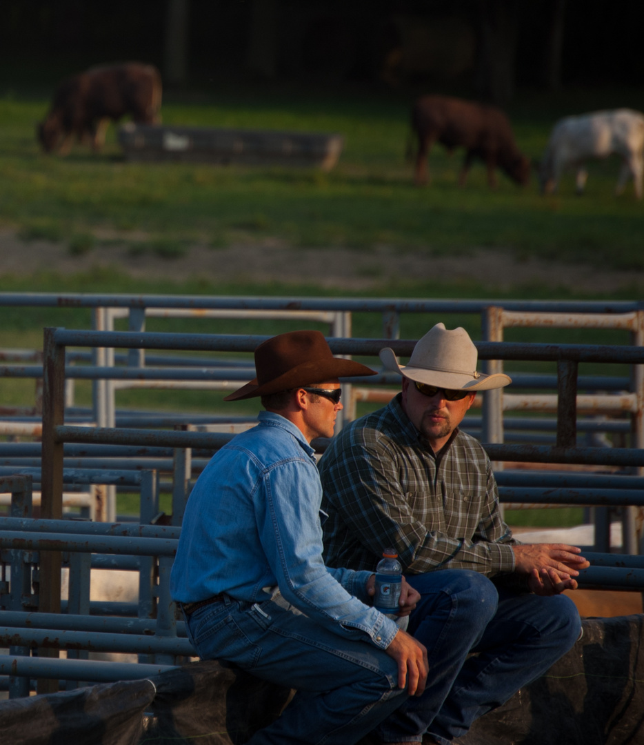 Home on the range