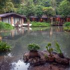 Home Phutoey River Kwai Hotspring Resort