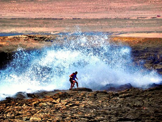 Home run P6012499 (1)