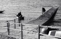 Homecomers...