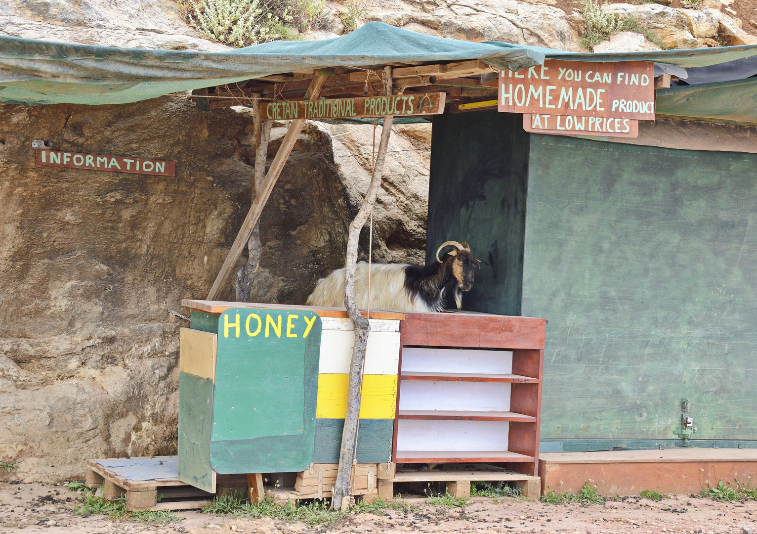 homemade Honey 