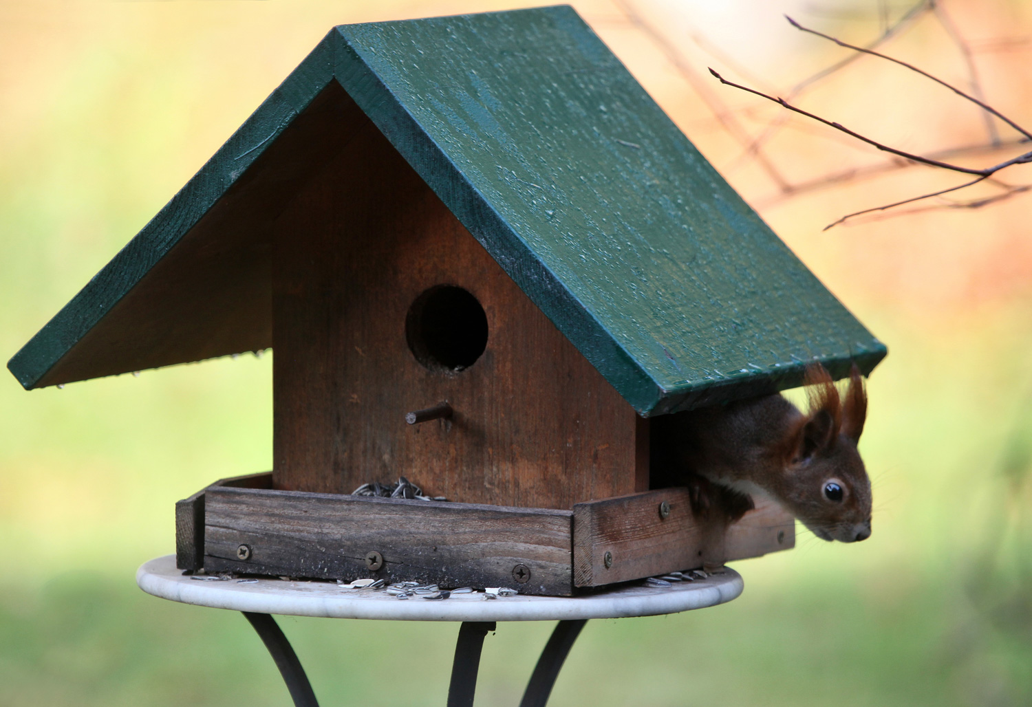 Homeoffice läßt grüßen