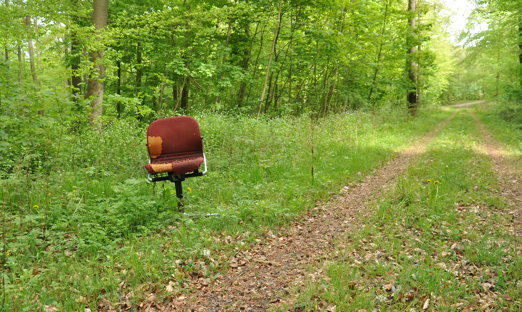 Homeoffice unter freiem Himmel 