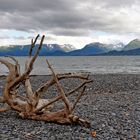 Homer Alaska