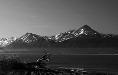 Homer - Alaska