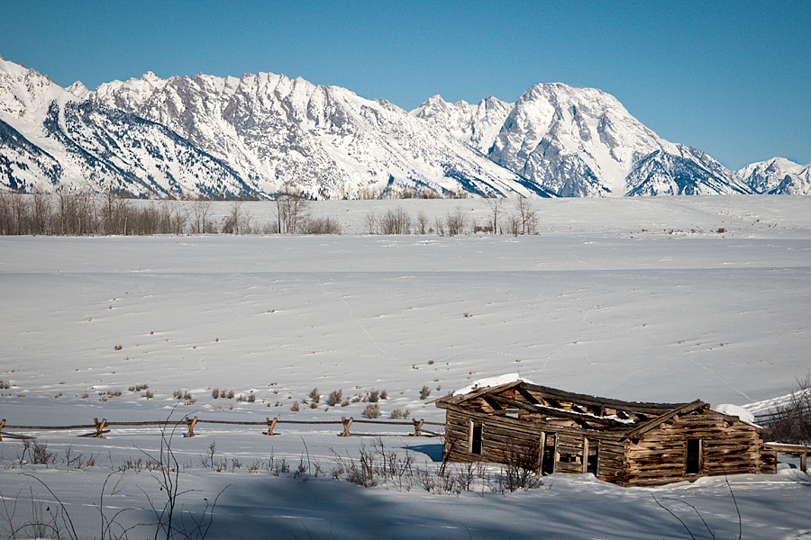 Homesteading Cabin