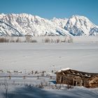 Homesteading Cabin