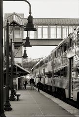 Homeward Bound