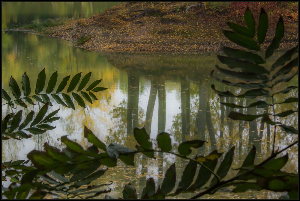 Hommage à Henri Rousseau - Gibt es eine Naive Fotografie... ?