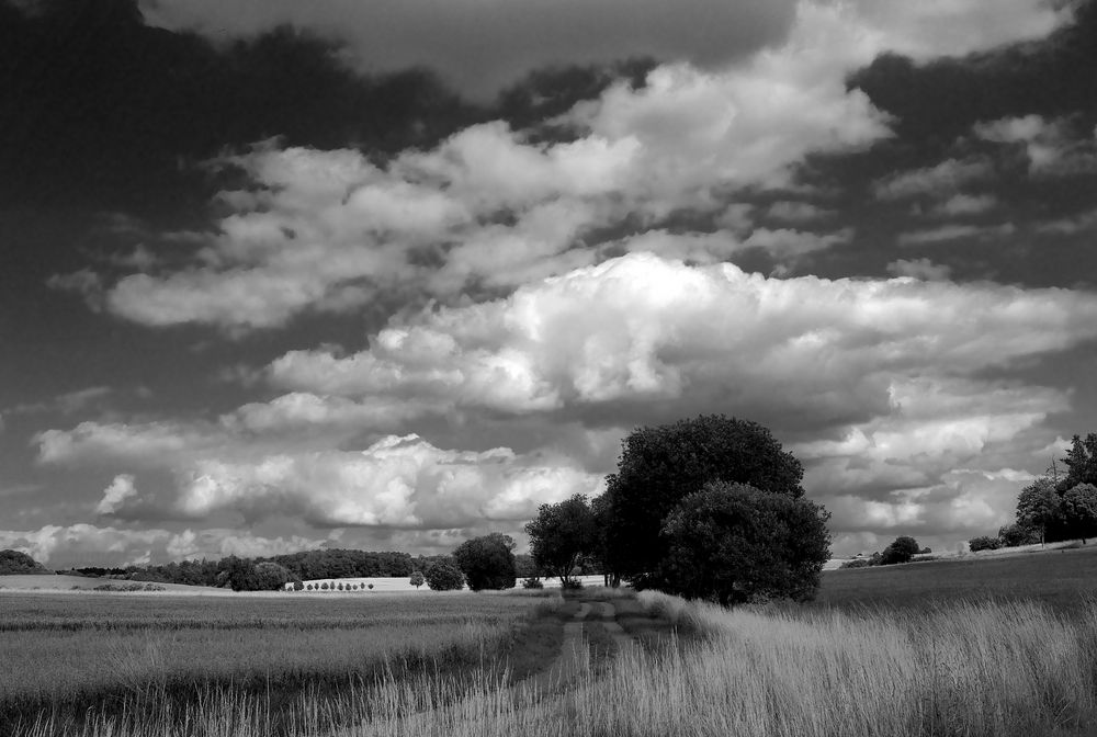 Hommage à John Constable