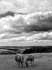 Hommage à John Constable II