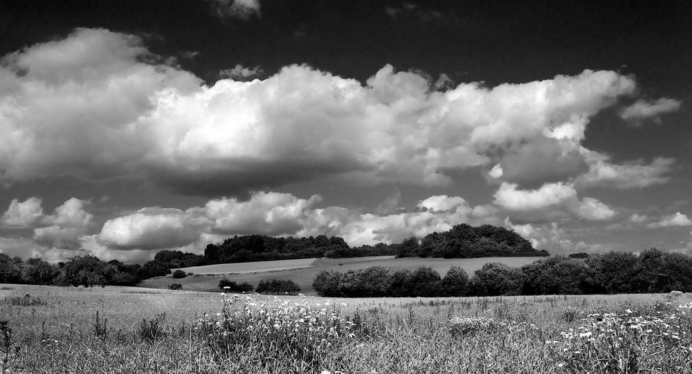 Hommage à John Constable IV