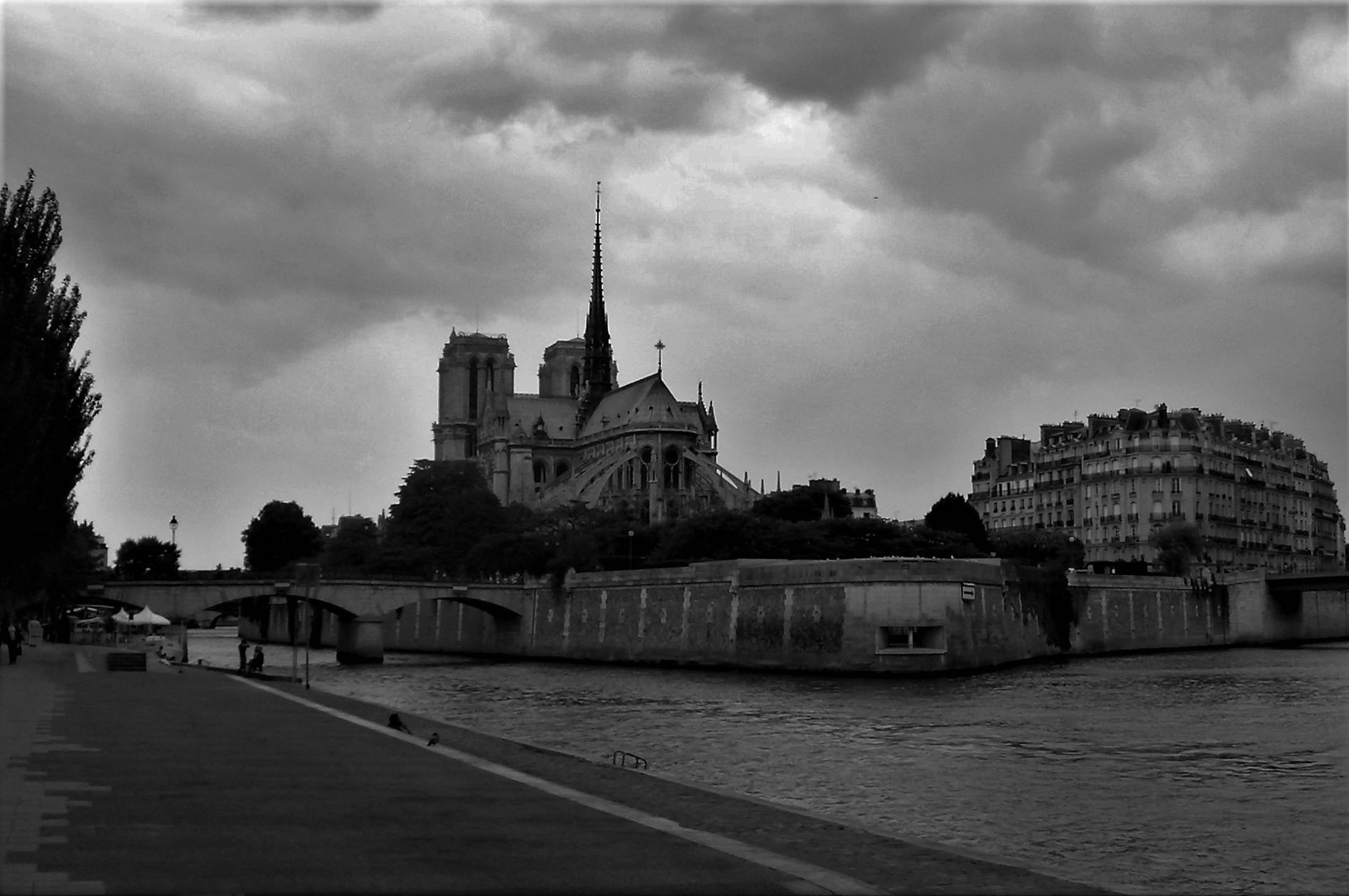 Hommage à Nôtre Dame de Paris