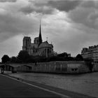 Hommage à Nôtre Dame de Paris