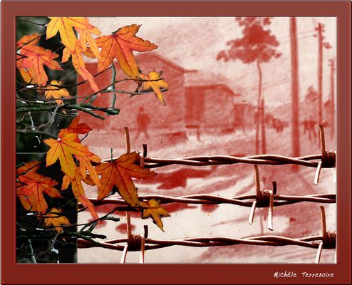 Hommage à tous les prisionniers - Exo 47