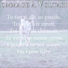 Hommage à Voltario