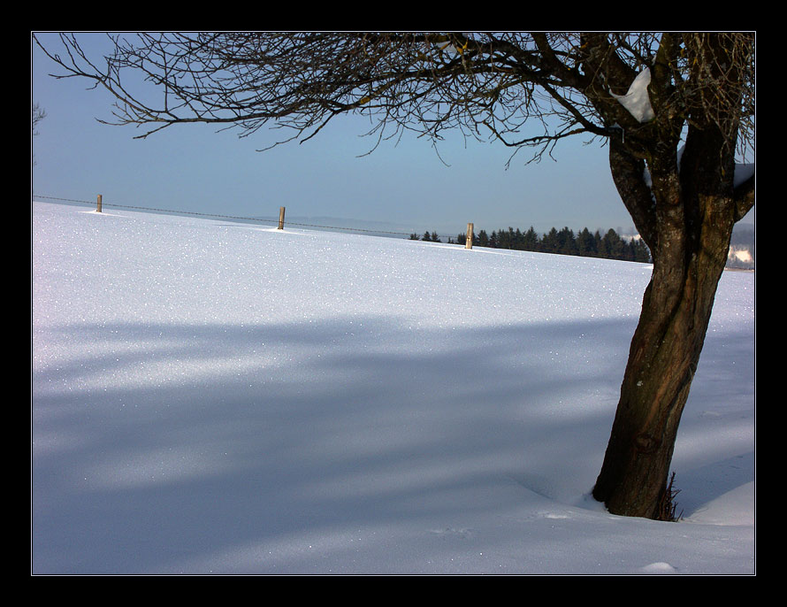 Hommage an den hier sicherlich bereits größtenteils geschmolzenen Schnee