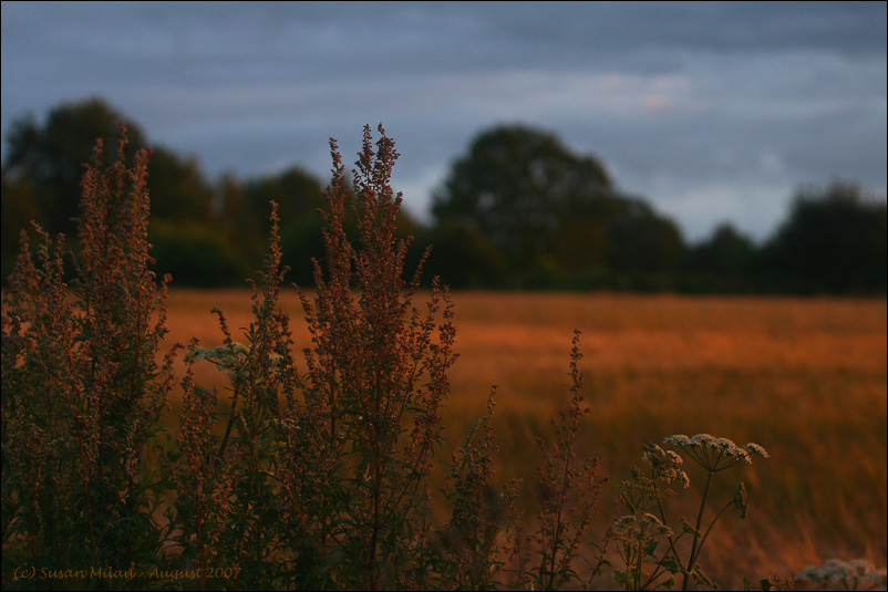 Hommage an eine Landschaft