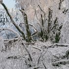 HOMMAGE an einen besonderen WINTERTAG auf dem Großen Feldberg im Taunus