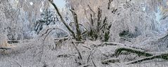 HOMMAGE an einen besonderen WINTERTAG auf dem Großen Feldberg im Taunus