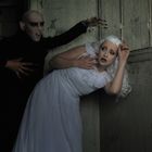 Hommage an Klaus Kinski`s Nosferatu VII