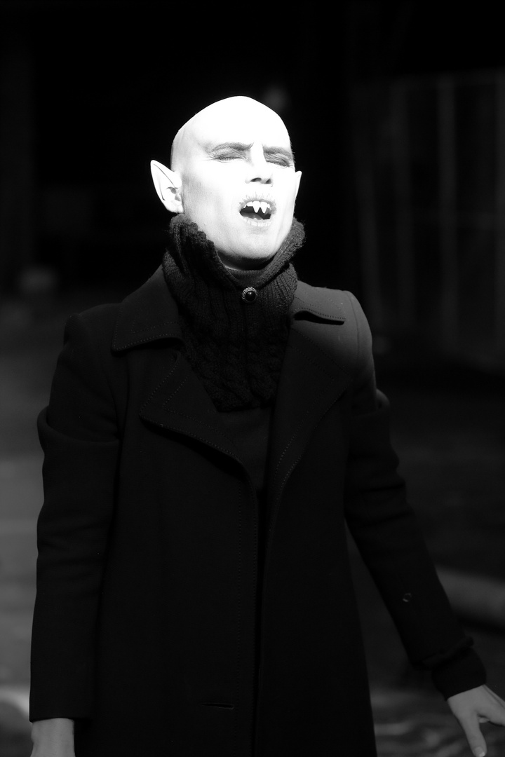 Hommage an Klaus Kinski`s Nosferatu XII