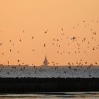 Hommage an Wangerooge