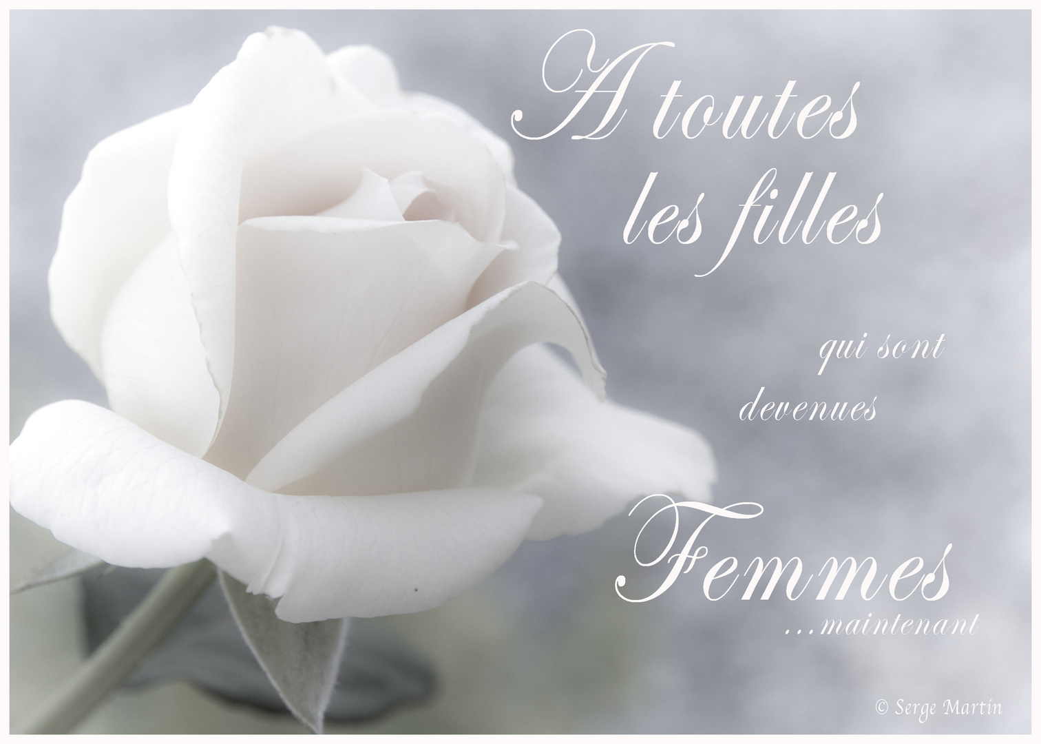 Hommage aux Femmes