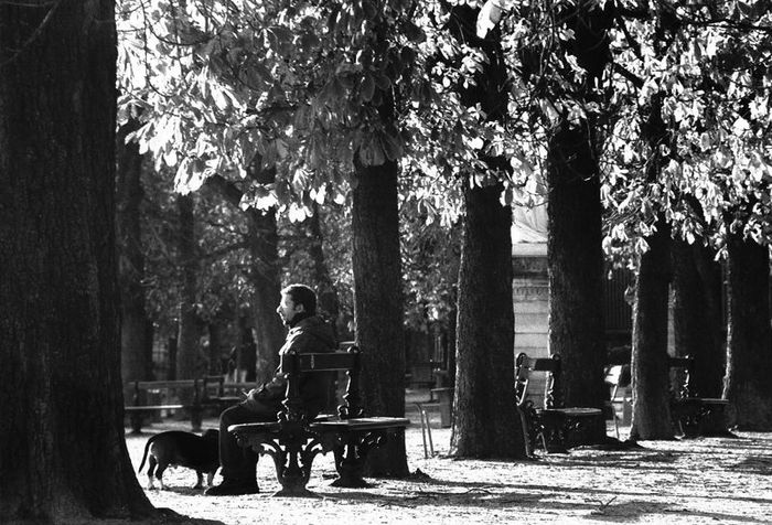 Homme avec chien