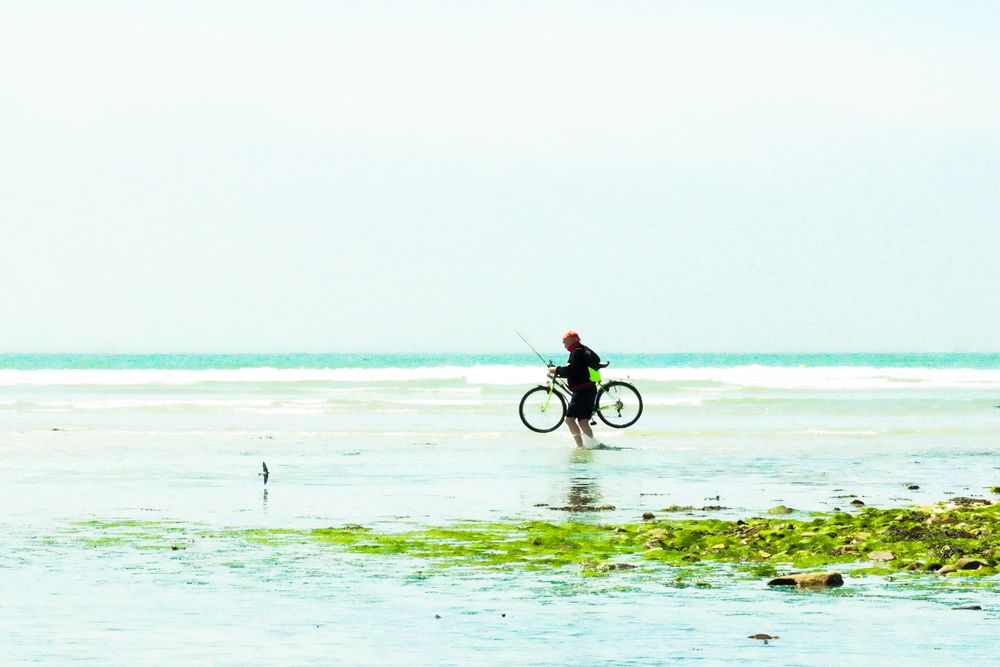 Homme. Bicyclette . Hirondelle de mer