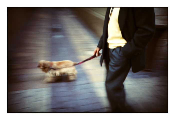 Homme et chien