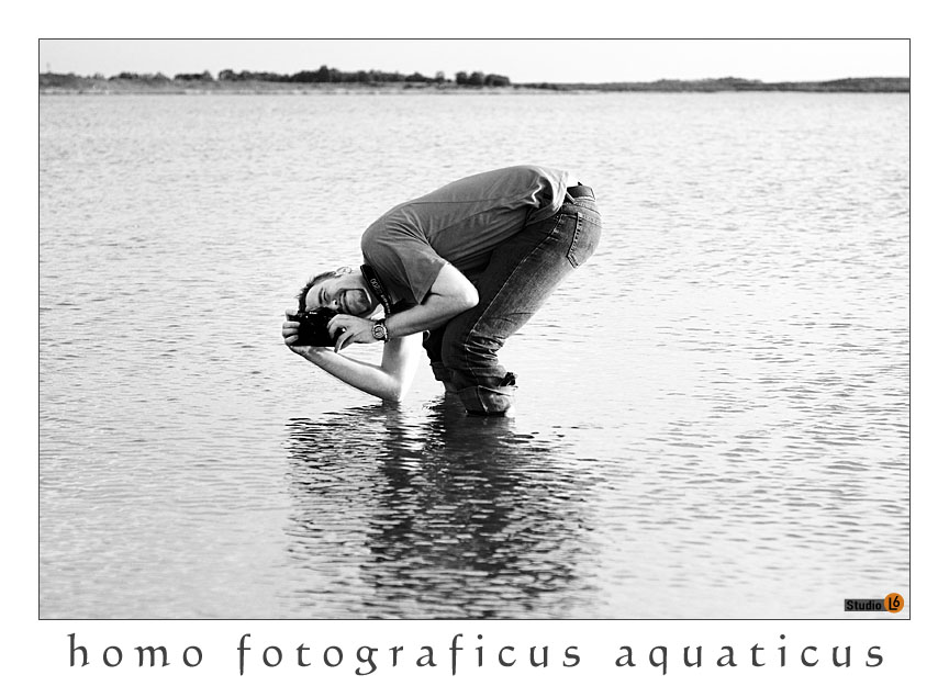 homo fotograficus aquaticus