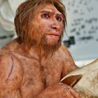 HOMO vor 300.000 Jahren