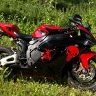 Honda CBR - 1000-RR-Fireblade