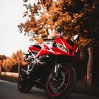 Honda CBR 600 RR